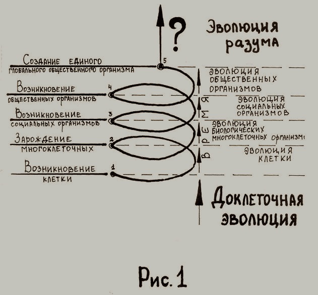 Спиральное общество. Теория развития истории по спирали. Гегель спираль развития истории. Спиралевидная модель Гегель. Спираль развития общества.